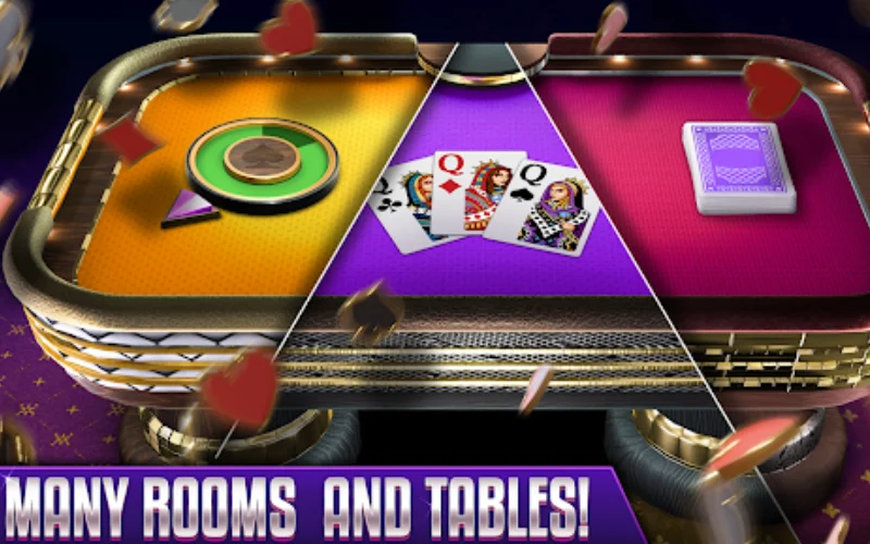 rummy 101 at rummy friends body image